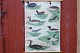 Outlook board 
with wooden 
sticks: 
Swimming Birds, 
Image 
dimensions: 66 
x 93 cm