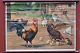 Outlook board 
with wooden 
sticks: Hens, 
Image 
dimensions 62 x 
84 cm