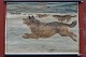 Outlook board 
with wooden 
sticks: Wolfs, 
Image 
Dimensions: 62 
x 84 cm, NB 
hole in the 
canvas!