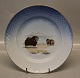 We buy
11308-621 
Dinner plate 
24.5 cm 
Greenlandic 
Scenery 
Collection 
(325-025) Dog 
Sledge - ...