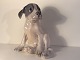 Royal 
Copenhagen, 
Pointer Puppy # 
259, 20.5cm 
tall, 1st 
grade, Design 
Erik Nielsen * 
Nice ...