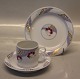 Prisme Red
B&G Prisme 
Annegrehte 
Halling-
Koch	x	Pcs
305 Cup and 
saucer	x	8
306 Cake plate 
ca ...