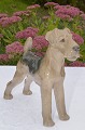 B&G figurine 
porcelain. B&G 
Sealyham puppy 
no. 2030. 
Height 17.5 cm. 
6 7/8 inches. 
2. Quality, ...