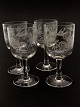 Glass with 
birds H. 16 cm. 
Kastrup 
Glassworks in 
1910         
No. 313485