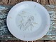 Bing & 
Grondahl, 
Venus, Dinner 
Plate #25, 24cm 
in diameter * 
Perfect 
Condition *