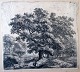 Waterloo, 
Anthonius (1610 
- 1690) 
Holland: A road 
near an oak 
tree. 
Engraving. 
Unsigned. 13.2 
x ...