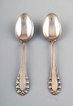 Georg Jensen 
Lily of the 
valley silver 
large 
soup/dinner 
spoon.
2 pcs. in 
stock.
Measures 20.5 
...