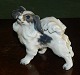Figure of 
Papillon dog in 
porcelain from 
Dahl Jensen. In 
perfect 
condition. 
Factory first 
...