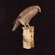 Swedish 
folkart: A 
bird, Wood
Late 19th 
Century
H: 35cm. L: 
40cm