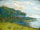 Due, Ole (1875 
- 1925) 
Denmark. 
Landscape. 
Pastel on 
paper. Signed: 
O.Due. 44 x 57 
cm. 
Framed.