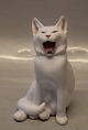 Royal 
Copenhagen Rare 
white cat 667 
RC Cat yawning 
EN 1905 17 cm 
In mint and 
nice condition