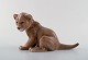 B & G / Bing & 
Grondahl - 
Sitting lion 
cub - number 
2530.
1st. factory 
quality.
Measures: 20 
...