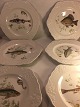 Marlborough old 
English 
ironstone by 
simpsons 
potters ltd 
England plates.
6 pcs Fishing 
plates ...