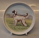 Tove Svendsen 
Tray Decorated 
with dogs in 
colours ca 15 
cm
 ; Cairn 
Terrier?, 
Yorkshire ...