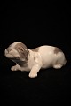 Royal 
Copenhagen 
porcelain 
figure of 
Basset dog 
puppy.
Factory 1st 
quality. 
Decoration 
number ...