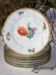 Royal 
Copenhagen  
Saxon flower 
angular, 
handpainted 
porcelain 
Dek.no. 627. 
Plate no. 8553. 
...