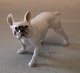 Bing and 
Grondahl B&G 
1893 French 
Bulldog 8 x 13 
cm Marked with 
the three Royal 
Towers of ...
