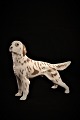 Royal 
Copenhagen 
porcelain 
figure of dog, 
Irish setter.
Decoration 
number: ...