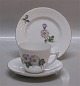 8 set in stock
102 Cup and 
saucer 1.25 dl 
(305) 
Chrysanthemums, 
sometimes 
called mums or 
...