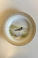 Royal 
Copenhagen 
Flora Danica 
Bird Dinner 
Plate No 
240/3549. Latin 
Name: 
Haematopus 
ostralegus. ...