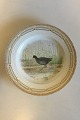 Royal 
Copenhagen 
Flora Danica 
Bird Dinner 
Plate No 
240/3549. Latin 
Name: Fulica 
atra L. 
Measures ...