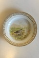 Royal 
Copenhagen 
Flora Danica 
Bird Dinner 
Plate No 
240/3549. Latin 
Name: Capella 
gallinago. ...