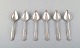 Georg Jensen Old Danish cutlery. Set of six grape fruit spoons in sterling 
silver.
