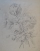 Hernne, Elisabeth Clausine (19th century) Denmark: A bouquet. Lead on paper. Verso denoted. 34 x ...