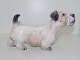 Dahl Jensen dog 
figurine, 
Sealyham 
Terrier.
The factory 
mark tells, 
that this was 
produced ...