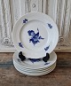 Royal 
Copenhagen Blue 
Flower lunch 
Plate 
No. 8095
Diameter 21 cm 

Factory first 
- dkk 225.- ...