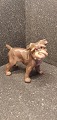 Brussel Griffon 
dog from Dahl 
Jensen. Rarely 
for sale. 9x11 
cm.
marked as 
third due to 
burning ...