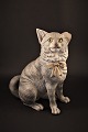 1800 Century painted terracotta figure of cat with glass eyes and with a fine patina. H: ...
