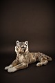Royal 
Copenhagen 
porcelain 
figure of 
tiger, H:13cm. 
L:30.5cm. 
Decoration 
number: 714. 
...