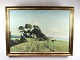Oil painting 
with nature 
landscape and 
gilded frame 
signed by T. H. 
Ulrichsen.
74 x 100 cm.