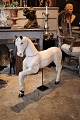 Swedish 1800 
century horse 
in carved wood 
with scraped 
off-white color 
and a super 
fine ...