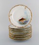 Twelve antique 
Pirkenhammer 
porcelain 
dinner plates 
with 
hand-painted 
fish and gold 
decoration. ...