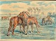 Schou, Svend (Sven) Holger (1877 - 1961) Denmark: Horses on a field. Watercolor. Signed 1940. 20 ...
