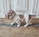 B&G figure - 
Cocker Spaniel 
No 2061, 
Factory first.
Length 25 cm. 
Height 15 cm.
Design ...