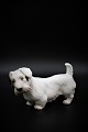 Bing & Grondahl 
porcelain 
figure of a 
Sealyham 
terrier. 
Decoration 
number: 2011. 
1.sort. ...