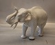 1373-0 RC 
Elephant Axel 
Locher 1912 24 
x 32 cm White 
version Royal 
Copenhagen In 
mint and nice 
...
