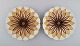 Two antique 
Meissen plates 
in hand-painted 
porcelain. 
Light brown 
flowers and 
gold 
decoration. ...