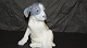 Large Royal 
Copenhagen Dog 
Figure, Pointer 
Puppy
Dek. # 051 or 
# 259
Measures 20 x 
18 cm.
1 ...