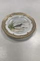 Royal 
Copenhagen 
Flora Danica 
Bird Luncheon 
Plate No 
20/3554 with 
Pierced Border. 

Latin Name: 
...