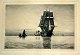 Locher, Carl (1851 - 1915) Denmark: Marine. Etching. Signed 1887. Print: 16 x 23.5 cm. Paper: 28 ...