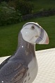 B&G figurine 
porcelain. 
B&G puffin no. 
2384. Height 16 
cm. 6 5/16 
inches. 1. 
Quality, fine 
...