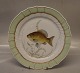 1 pcs in stock
919-1710 Fish: 
Crucian carp 
"Cyprinus 
Carassius" 25.5 
cm Royal 
Copenhagen 
Curved ...