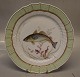 1 pcs in stock
919-1710 Fish: 
whiting or 
merling, "Gadus 
Merlangus" 25.5 
cm Royal 
Copenhagen ...