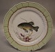 1 pcs in stock
919-1710 Fish: 
Tench "Tinca 
Vulgaris" 25.5 
cm Royal 
Copenhagen 
Curved Fish 
Plate ...