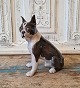 B&G figure - 
Boston terrier 
No. 2330, 
factory first
Height 19 cm.