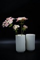 Old Lyngby vase 
in grooved 
porcelain.
H:12,4cm. 
Dia.:7cm. (1 
pcs. Available) 

Is in whole 
and ...
